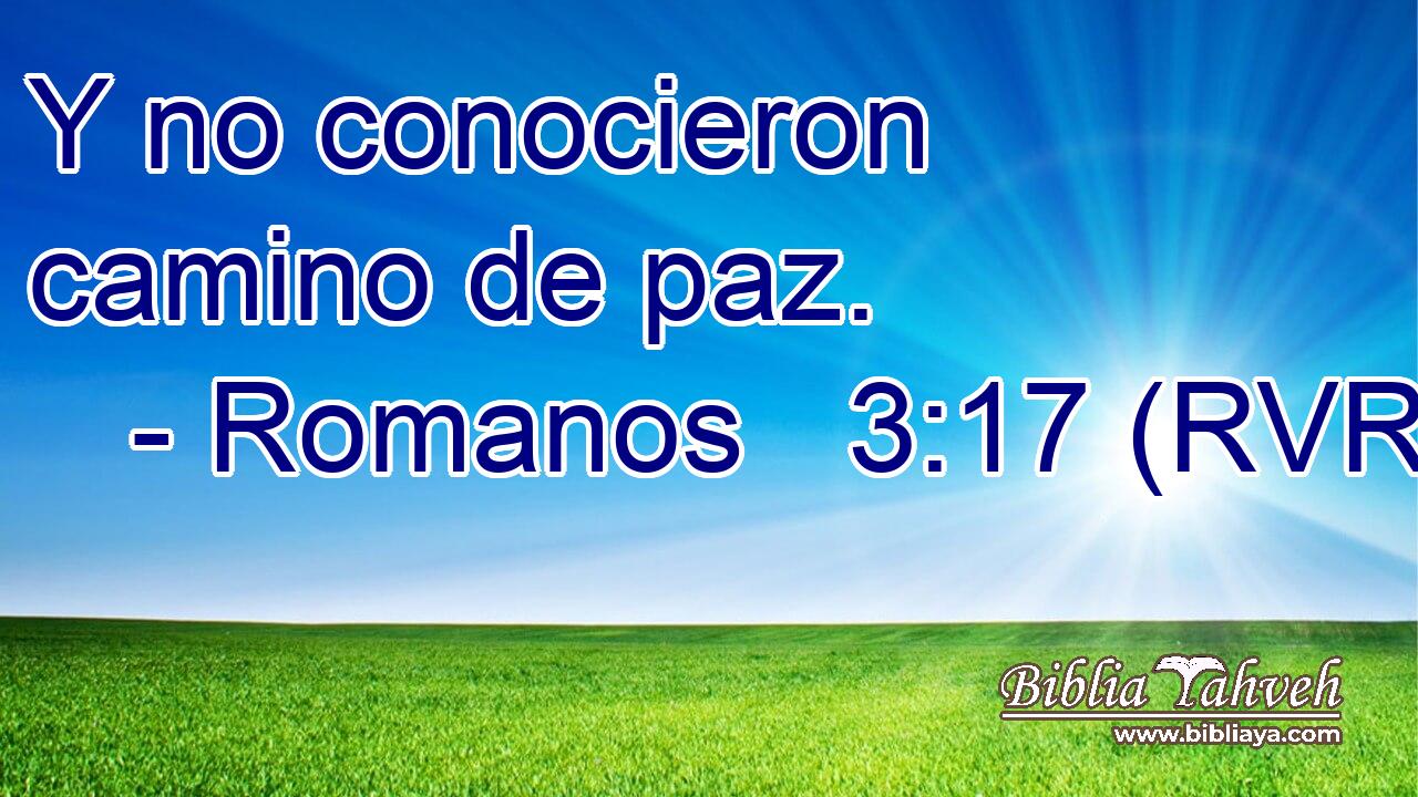 Y no conocieron camino de paz.