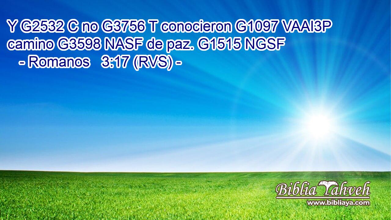 Y G2532 C no G3756 T conocieron G1097 VAAI3P camino G3598 NASF de paz. G1515 NGSF 