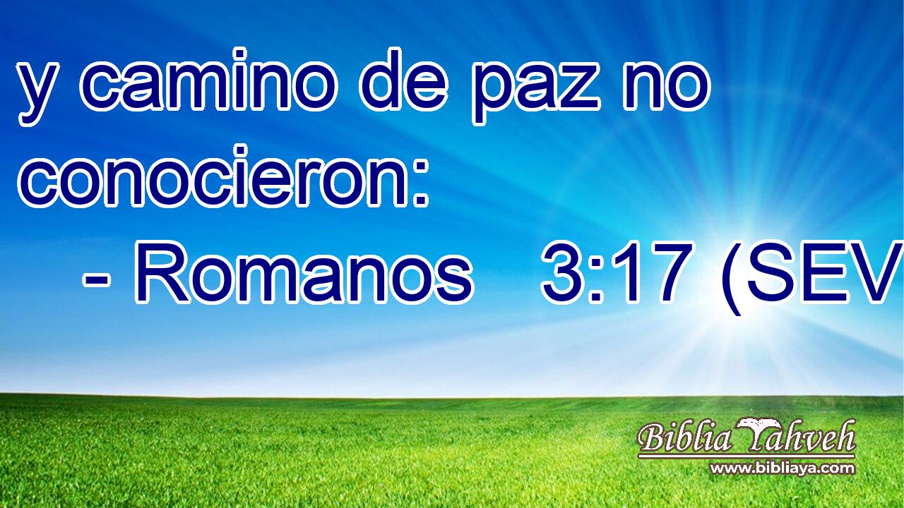 y camino de paz no conocieron: