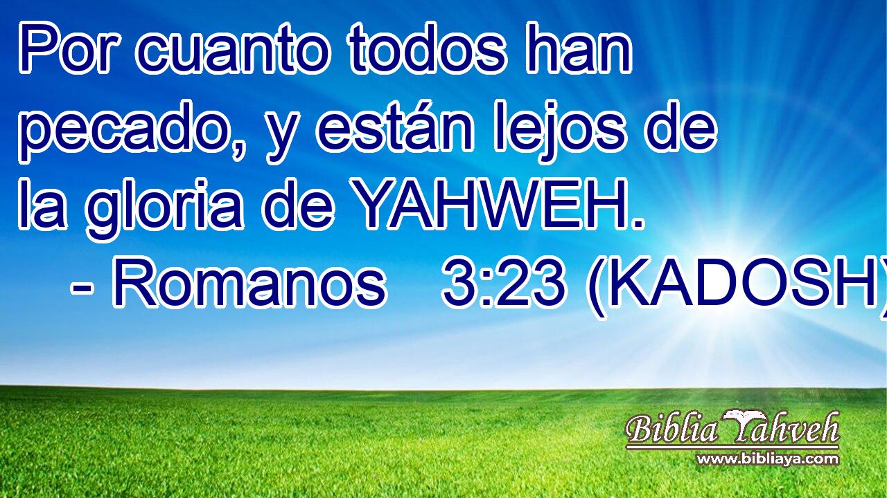  Por cuanto todos han pecado, y están lejos de la gloria de YAHWEH. 