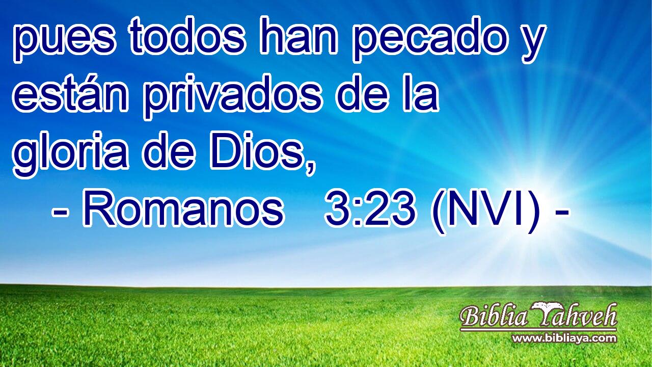  pues todos han pecado y están privados de la gloria de Dios, 