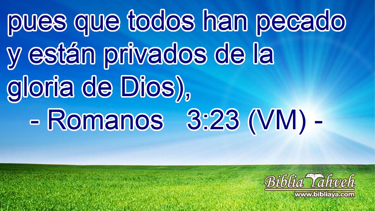  pues que todos han pecado y están privados de la gloria de Dios), 