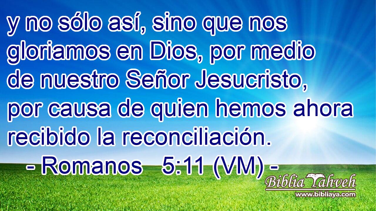  y no sólo así, sino que nos gloriamos en Dios, por medio de nuestro Señor Jesucristo, por causa de quien hemos ahora recibido la reconciliación. 