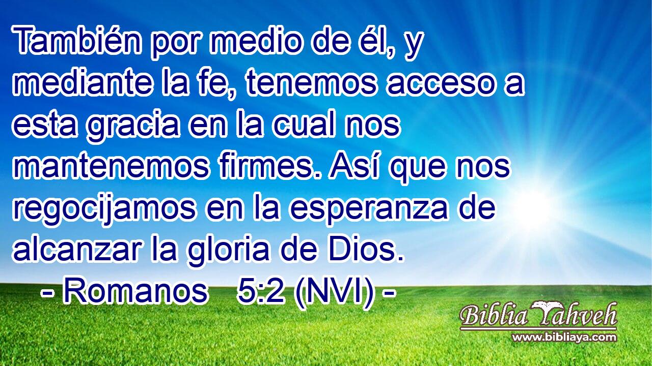  También por medio de él, y mediante la fe, tenemos acceso a esta gracia en la cual nos mantenemos firmes. Así que nos regocijamos en la esperanza de alcanzar la gloria de Dios. 