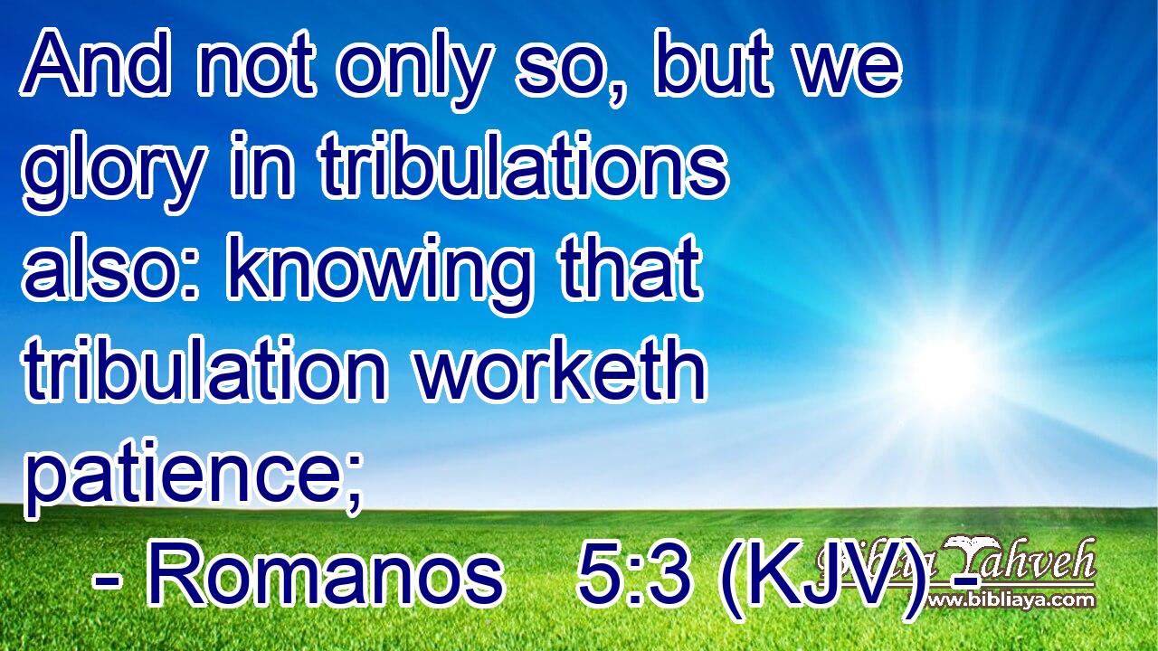 And not only so, but we glory in tribulations also: knowing that tribulation worketh patience;