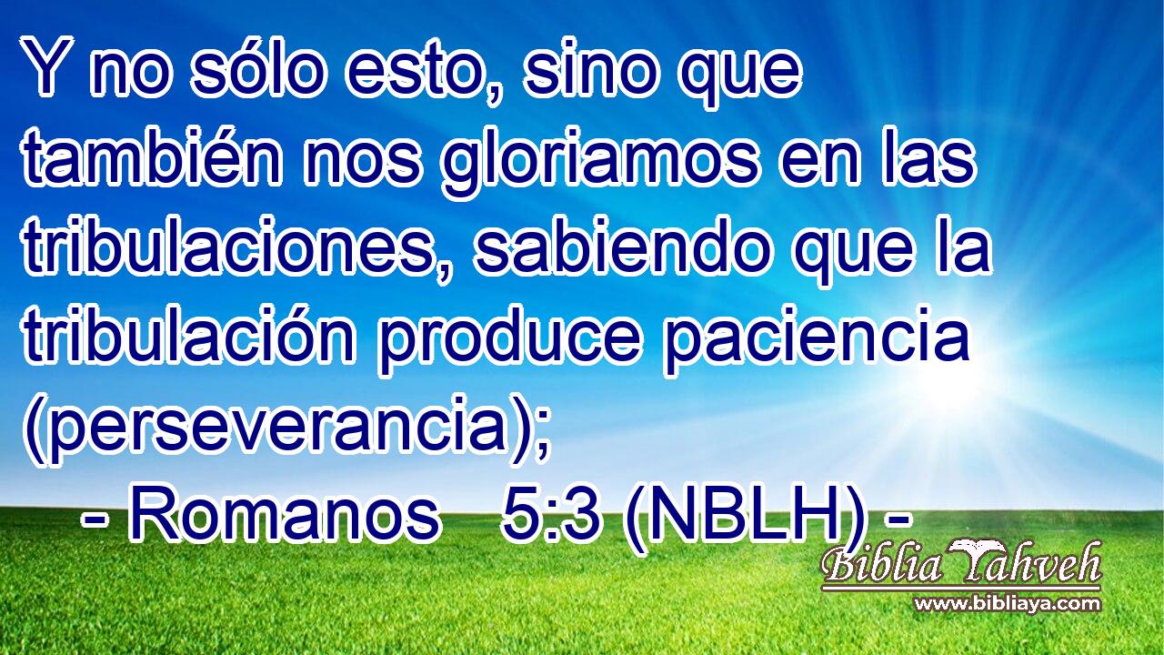 Y no sólo esto, sino que también nos gloriamos en las tribulaciones, sabiendo que la tribulación produce paciencia (perseverancia); 