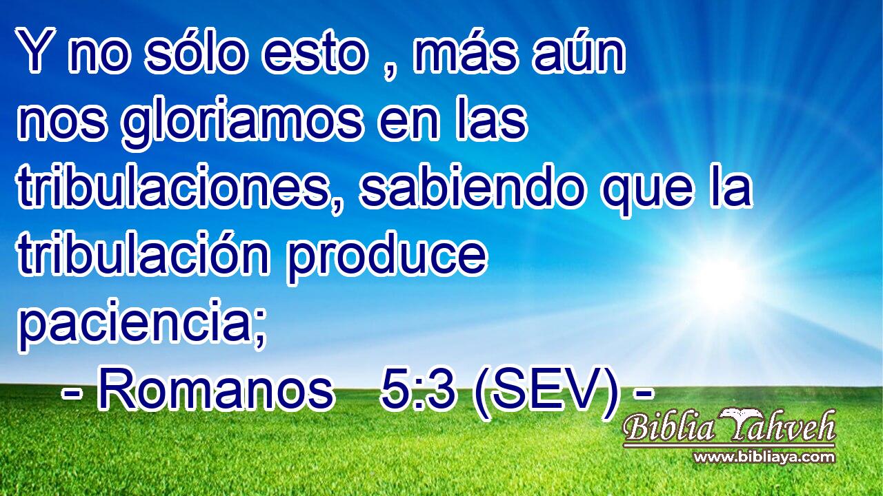Y no sólo esto , más aún nos gloriamos en las tribulaciones, sabiendo que la tribulación produce paciencia;