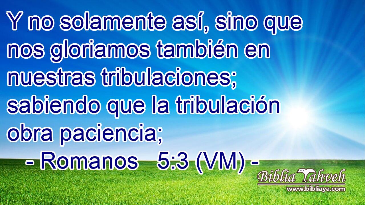  Y no solamente así, sino que nos gloriamos también en nuestras tribulaciones; sabiendo que la tribulación obra paciencia; 