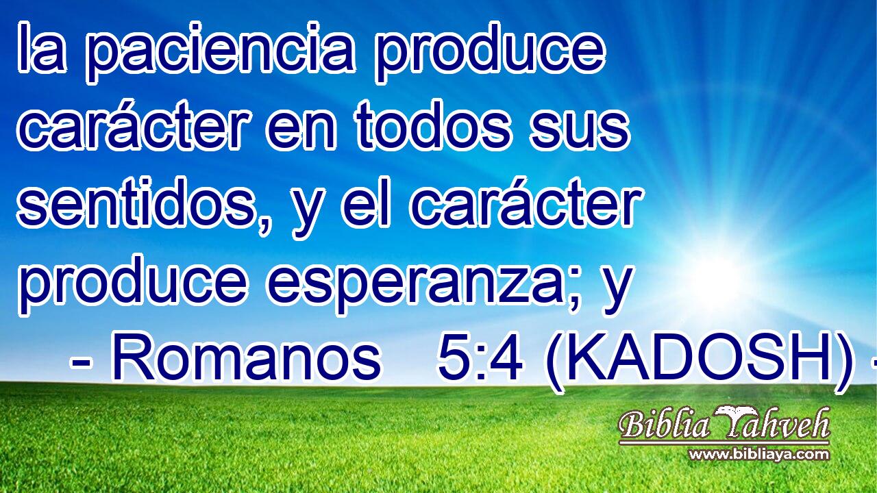  la paciencia produce carácter en todos sus sentidos, y el carácter produce esperanza; y 