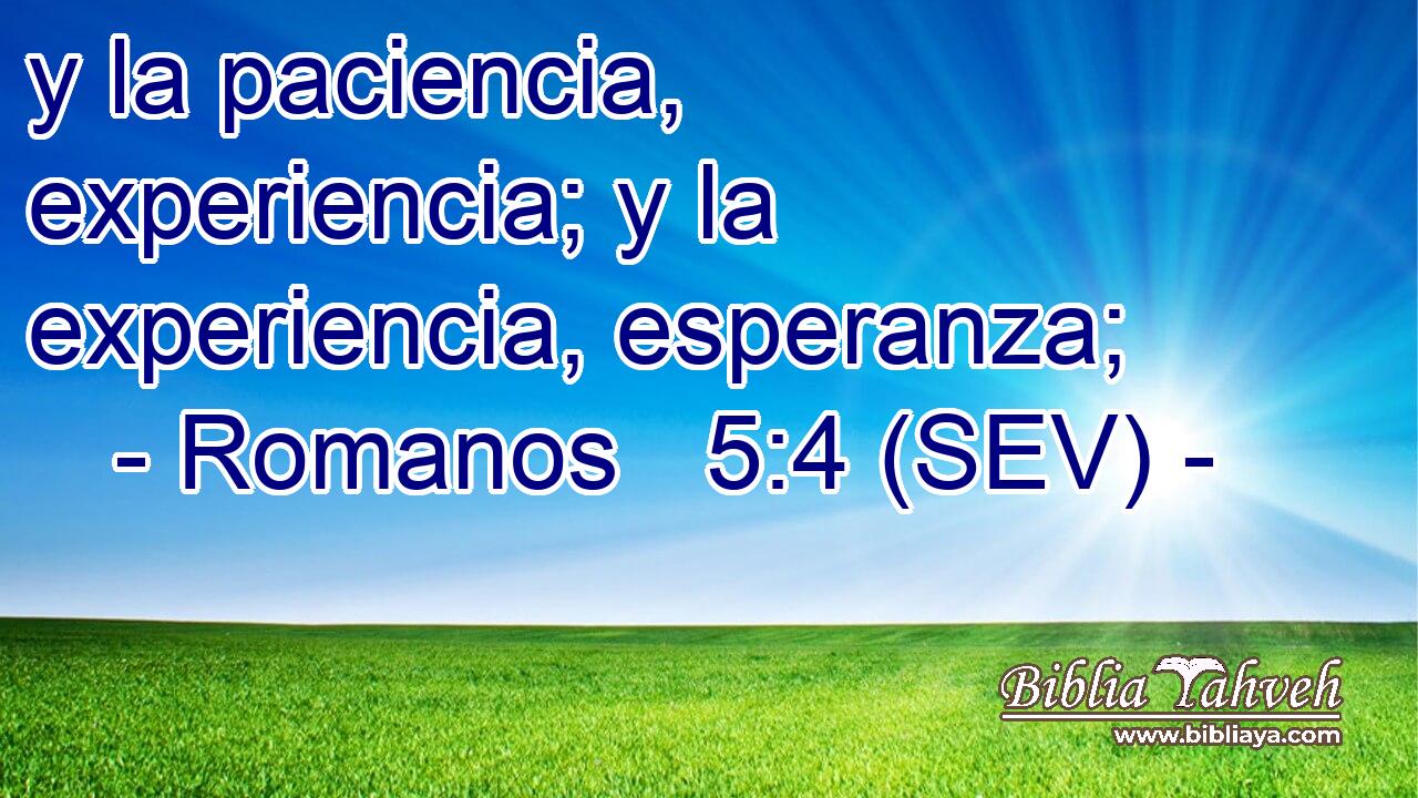 y la paciencia, experiencia; y la experiencia, esperanza;
