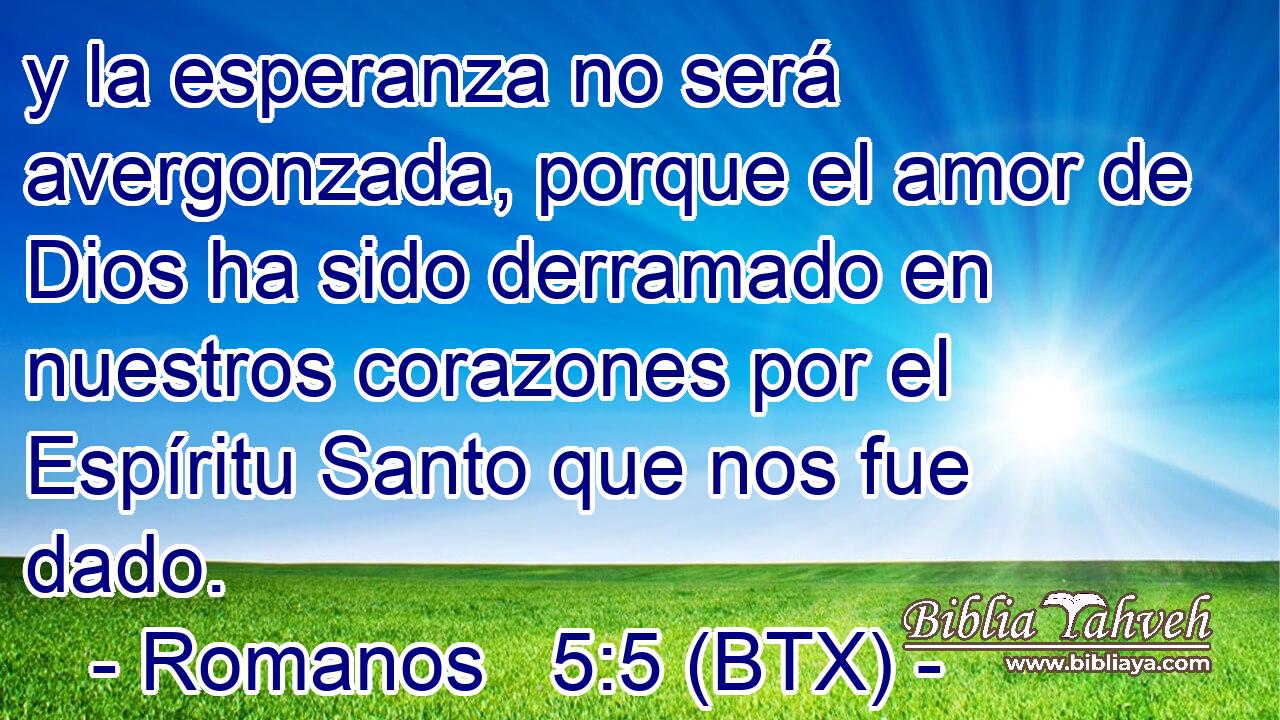 y la esperanza no será avergonzada, porque el amor de Dios ha sido derramado en nuestros corazones por el Espíritu Santo que nos fue dado.