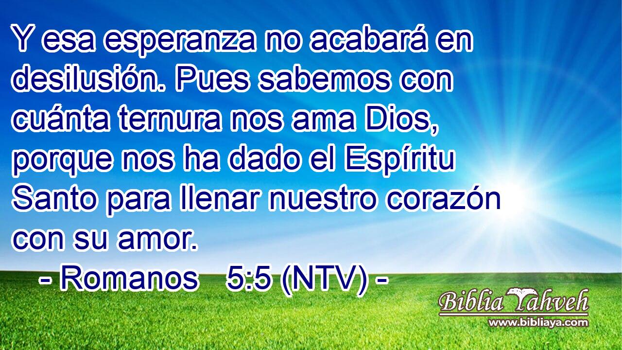 Y esa esperanza no acabará en desilusión. Pues sabemos con cuánta ternura nos ama Dios, porque nos ha dado el Espíritu Santo para llenar nuestro corazón con su amor.