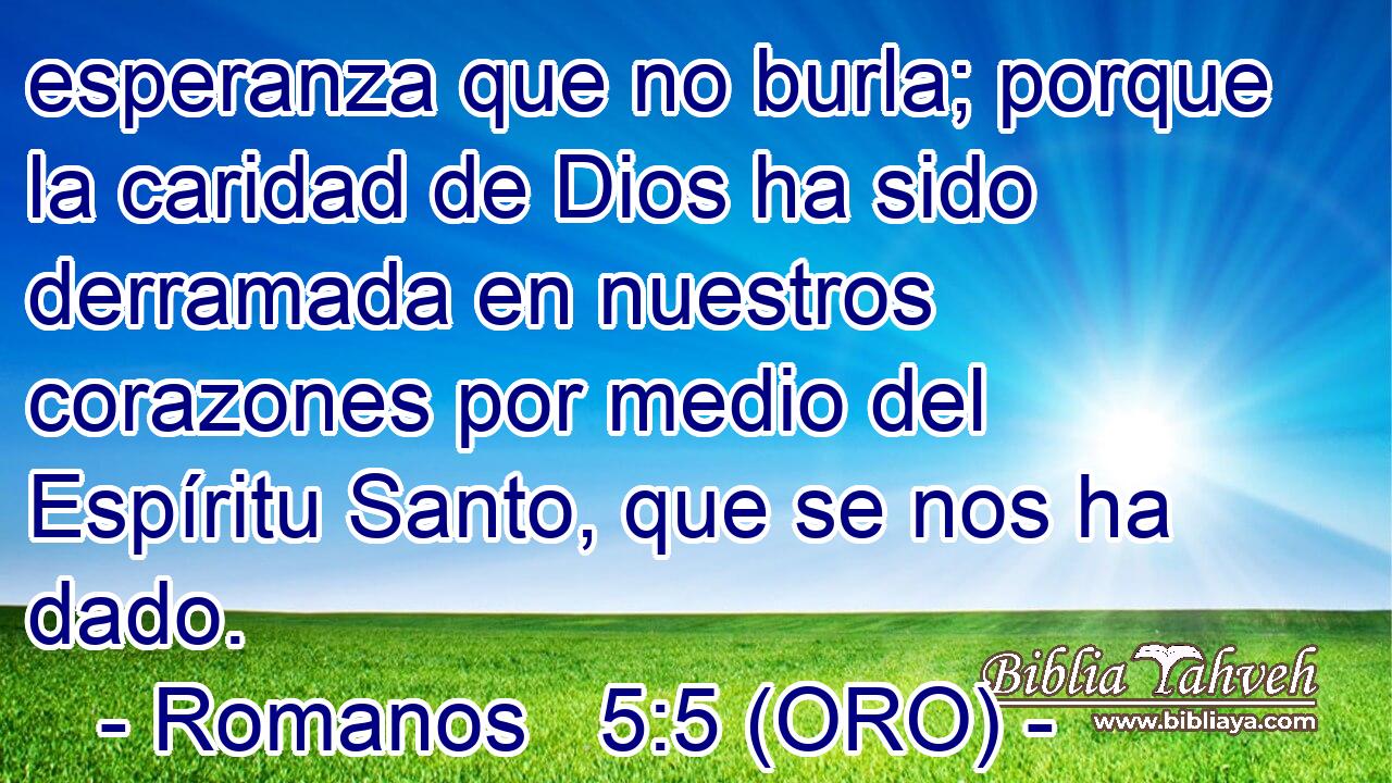  esperanza que no burla; porque la caridad de Dios ha sido derramada en nuestros corazones por medio del Espíritu Santo, que se nos ha dado. 