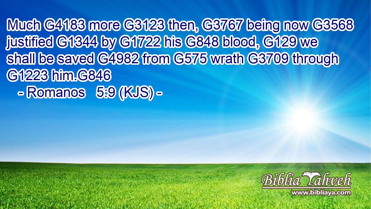 Much G4183 more G3123 then, G3767 being now G3568 justified G1344 by G1722 his G848 blood, G129 we shall be saved G4982 from G575 wrath G3709 through G1223 him.G846