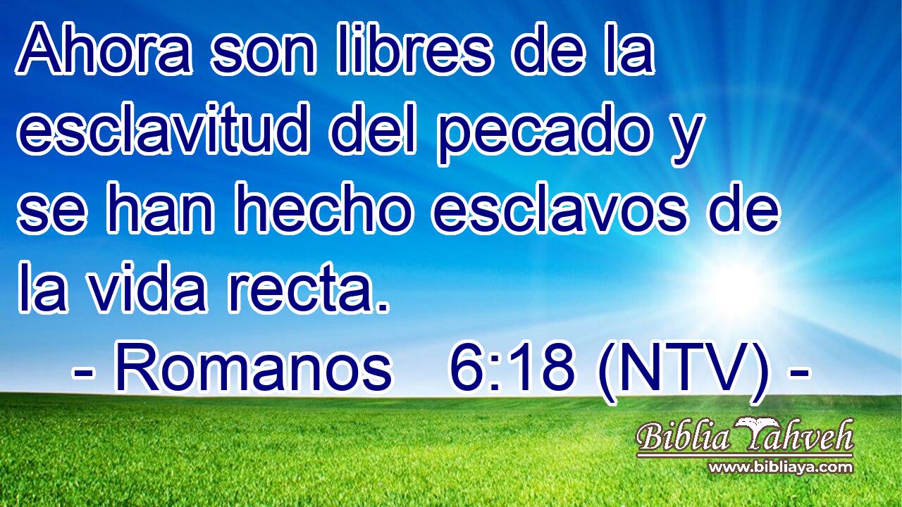 Ahora son libres de la esclavitud del pecado y se han hecho esclavos de la vida recta.