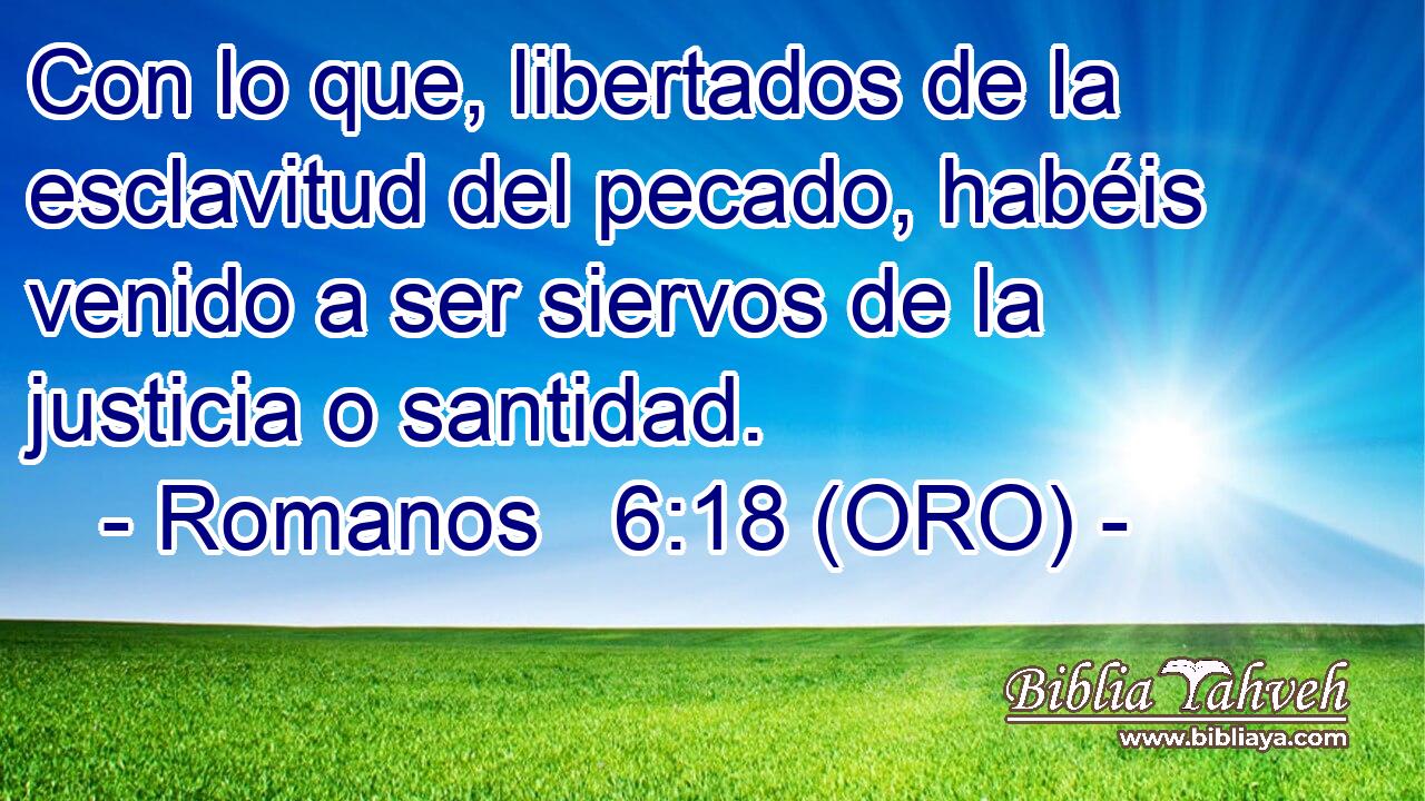  Con lo que, libertados de la esclavitud del pecado, habéis venido a ser siervos de la justicia o santidad. 