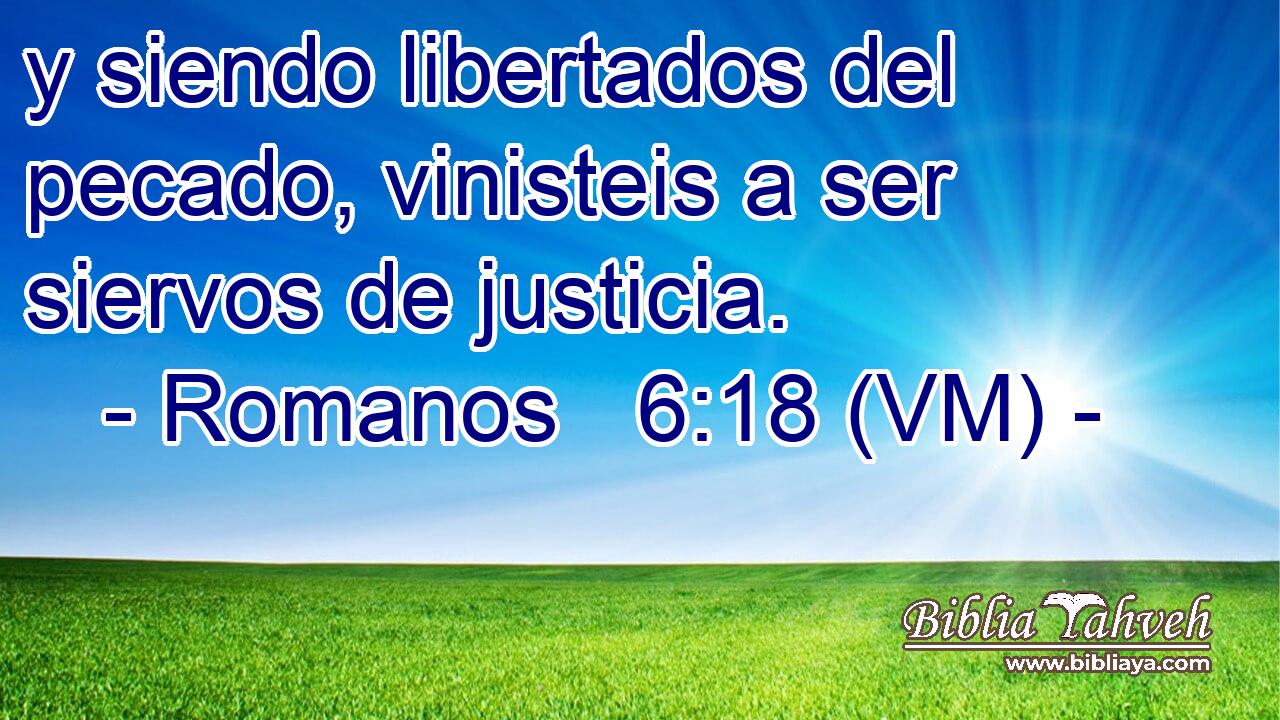  y siendo libertados del pecado, vinisteis a ser siervos de justicia. 