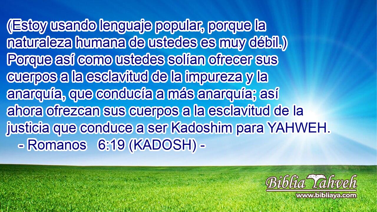  (Estoy usando lenguaje popular, porque la naturaleza humana de ustedes es muy débil.) Porque así como ustedes solían ofrecer sus cuerpos a la esclavitud de la impureza y la anarquía, que conducía a más anarquía; así ahora ofrezcan sus cuerpos a la esclavitud de la justicia que conduce a ser Kadoshim para YAHWEH. 