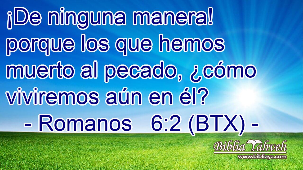 ¡De ninguna manera! porque los que hemos muerto al pecado, ¿cómo viviremos aún en él?