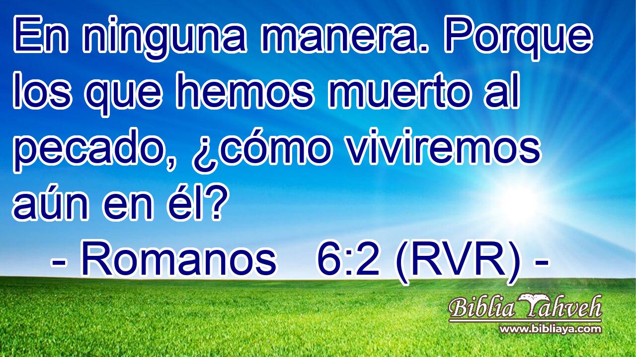 En ninguna manera. Porque los que hemos muerto al pecado, ¿cómo viviremos aún en él?