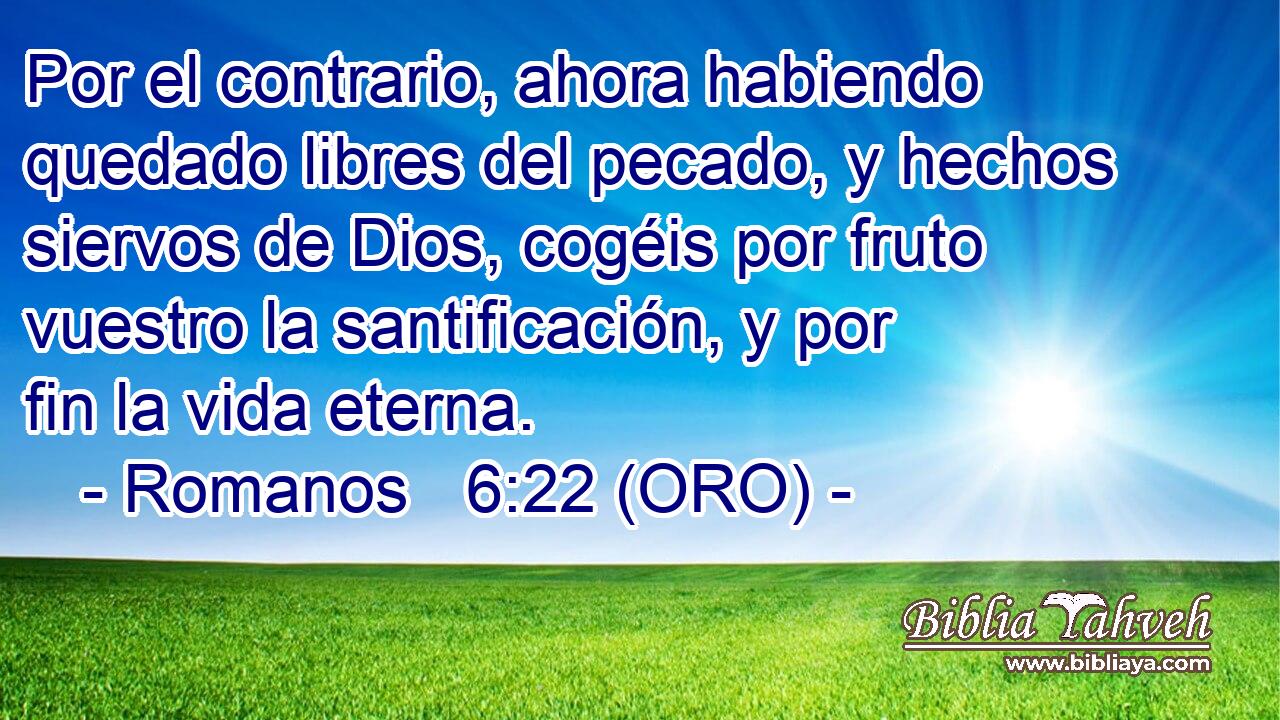  Por el contrario, ahora habiendo quedado libres del pecado, y hechos siervos de Dios, cogéis por fruto vuestro la santificación, y por fin la vida eterna. 