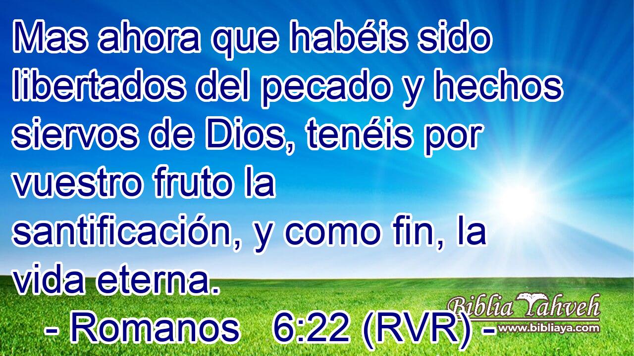 Mas ahora que habéis sido libertados del pecado y hechos siervos de Dios, tenéis por vuestro fruto la santificación, y como fin, la vida eterna.
