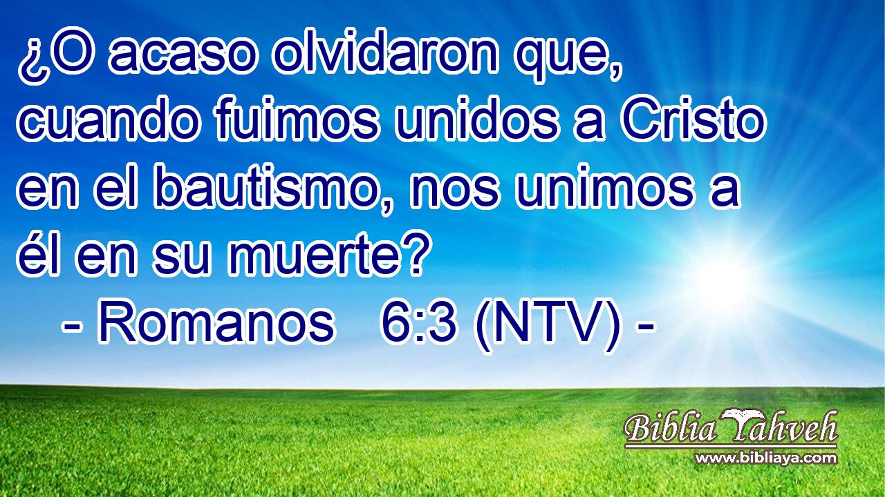 ¿O acaso olvidaron que, cuando fuimos unidos a Cristo en el bautismo, nos unimos a él en su muerte?