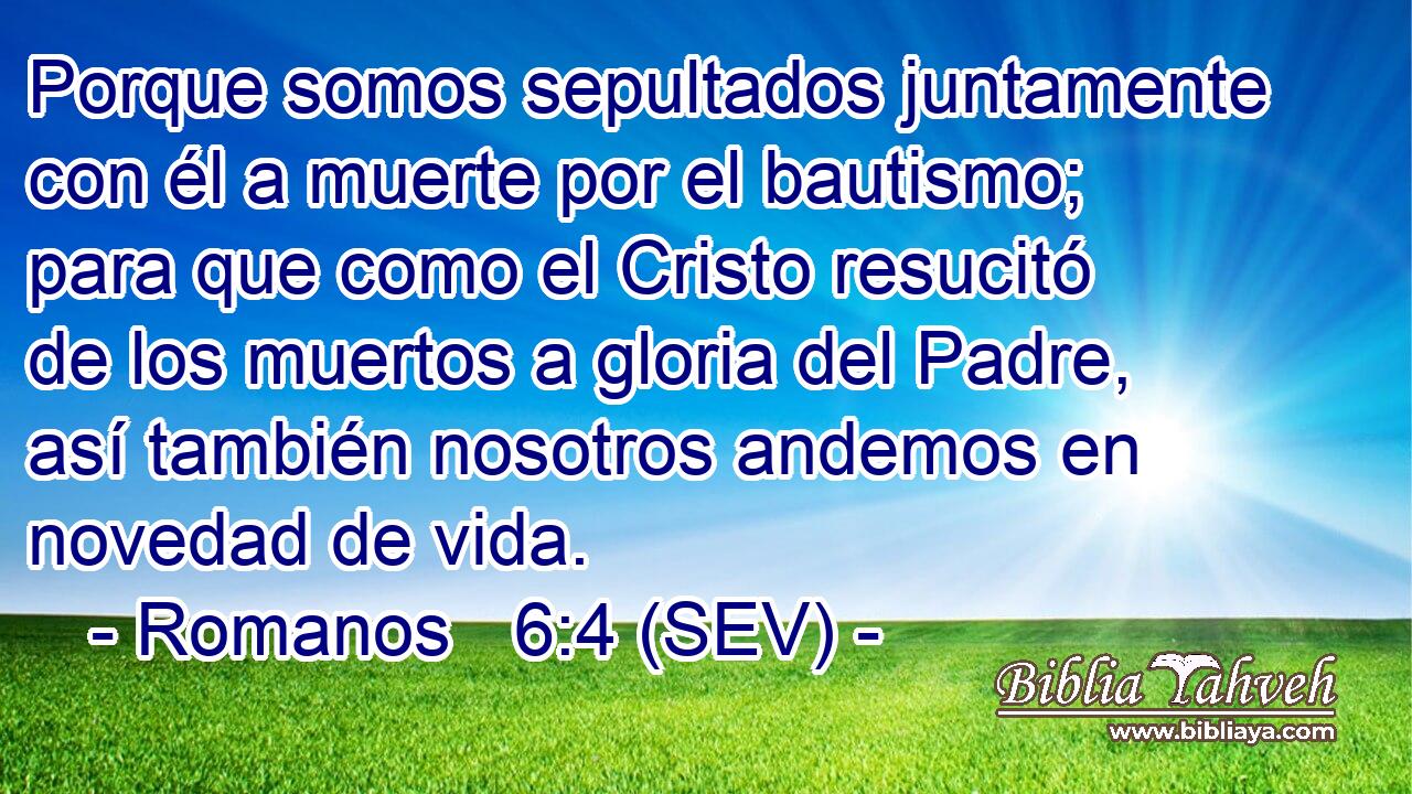 Porque somos sepultados juntamente con él a muerte por el bautismo; para que como el Cristo resucitó de los muertos a gloria del Padre, así también nosotros andemos en novedad de vida.