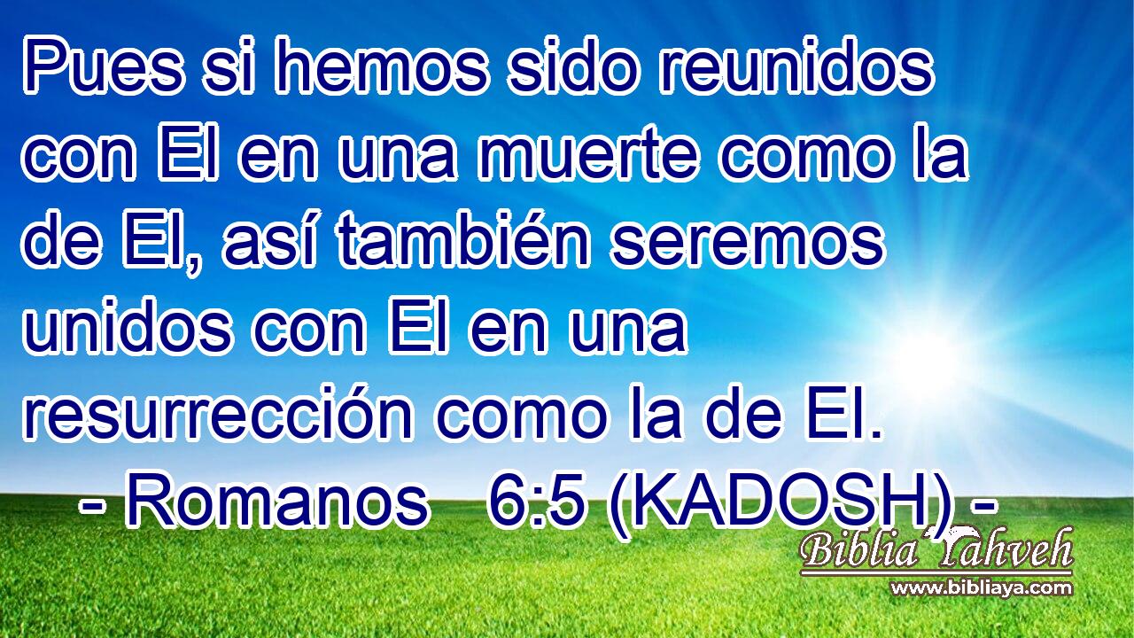  Pues si hemos sido reunidos con El en una muerte como la de El, así también seremos unidos con El en una resurrección como la de El. 