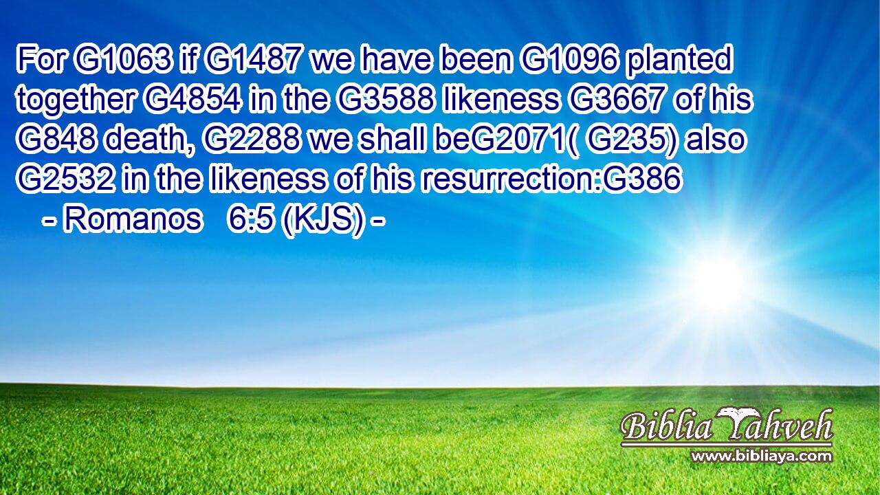For G1063 if G1487 we have been G1096 planted together G4854 in the G3588 likeness G3667 of his G848 death, G2288 we shall beG2071( G235) also G2532 in the likeness of his resurrection:G386