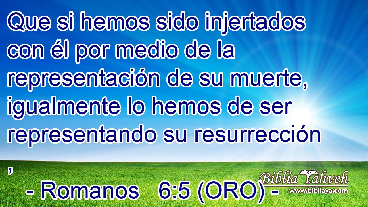  Que si hemos sido injertados con él por medio de la representación de su muerte, igualmente lo hemos de ser representando su resurrección , 