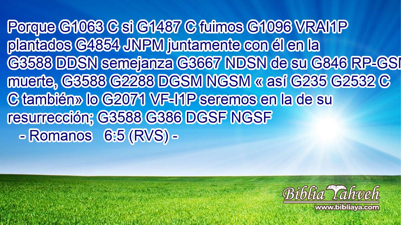 Porque G1063 C si G1487 C fuimos G1096 VRAI1P plantados G4854 JNPM juntamente con él en la G3588 DDSN semejanza G3667 NDSN de su G846 RP-GSM muerte, G3588 G2288 DGSM NGSM « así G235 G2532 C C también» lo G2071 VF-I1P seremos en la de su resurrección; G3588 G386 DGSF NGSF 