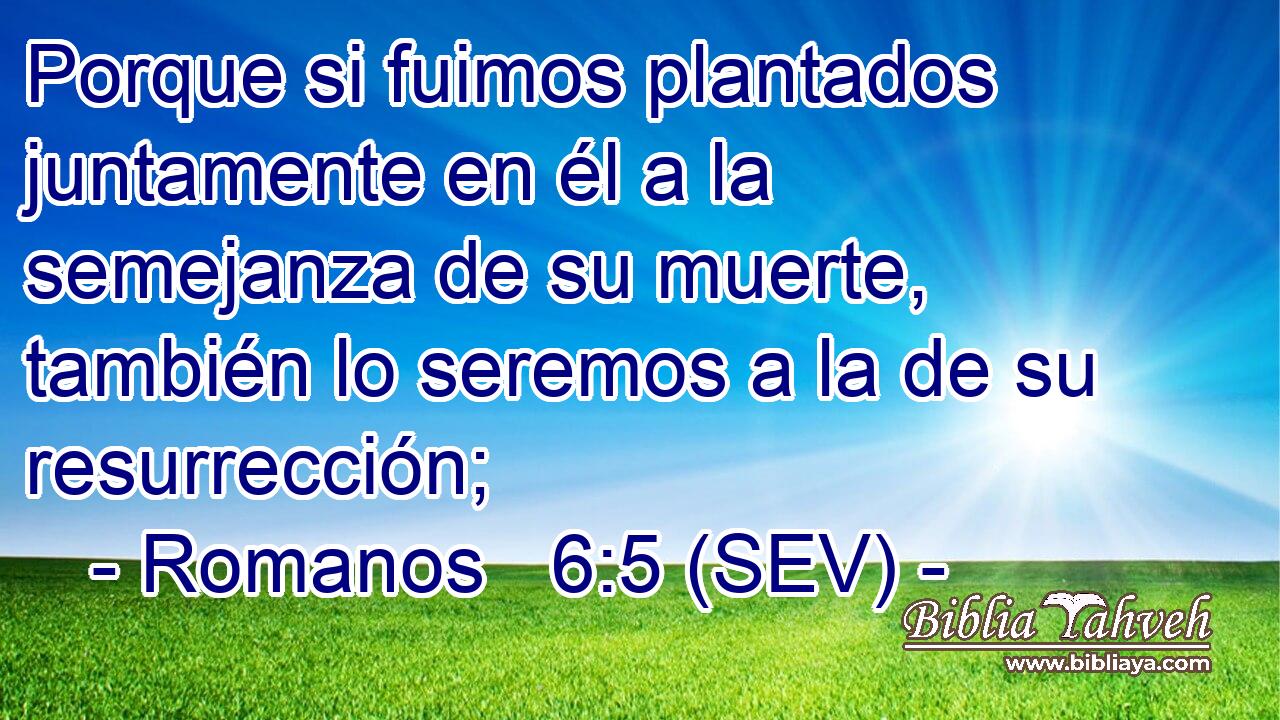 Porque si fuimos plantados juntamente en él a la semejanza de su muerte, también lo seremos a la de su resurrección;