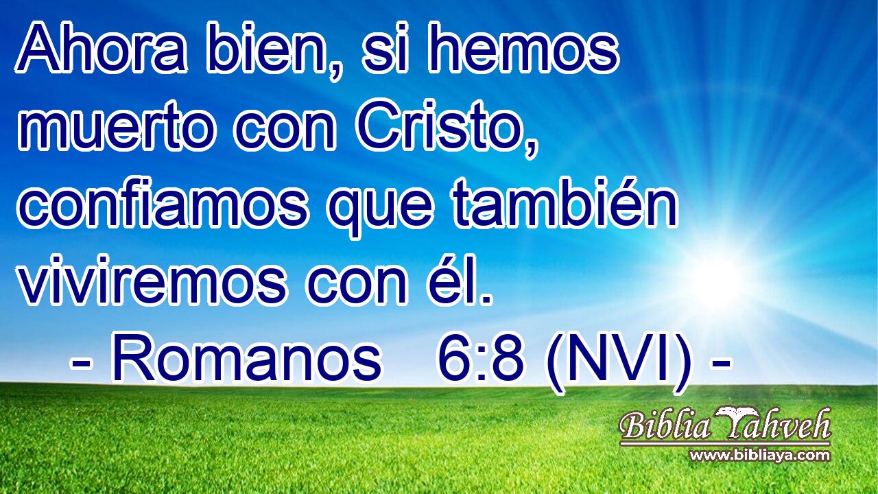  Ahora bien, si hemos muerto con Cristo, confiamos que también viviremos con él. 