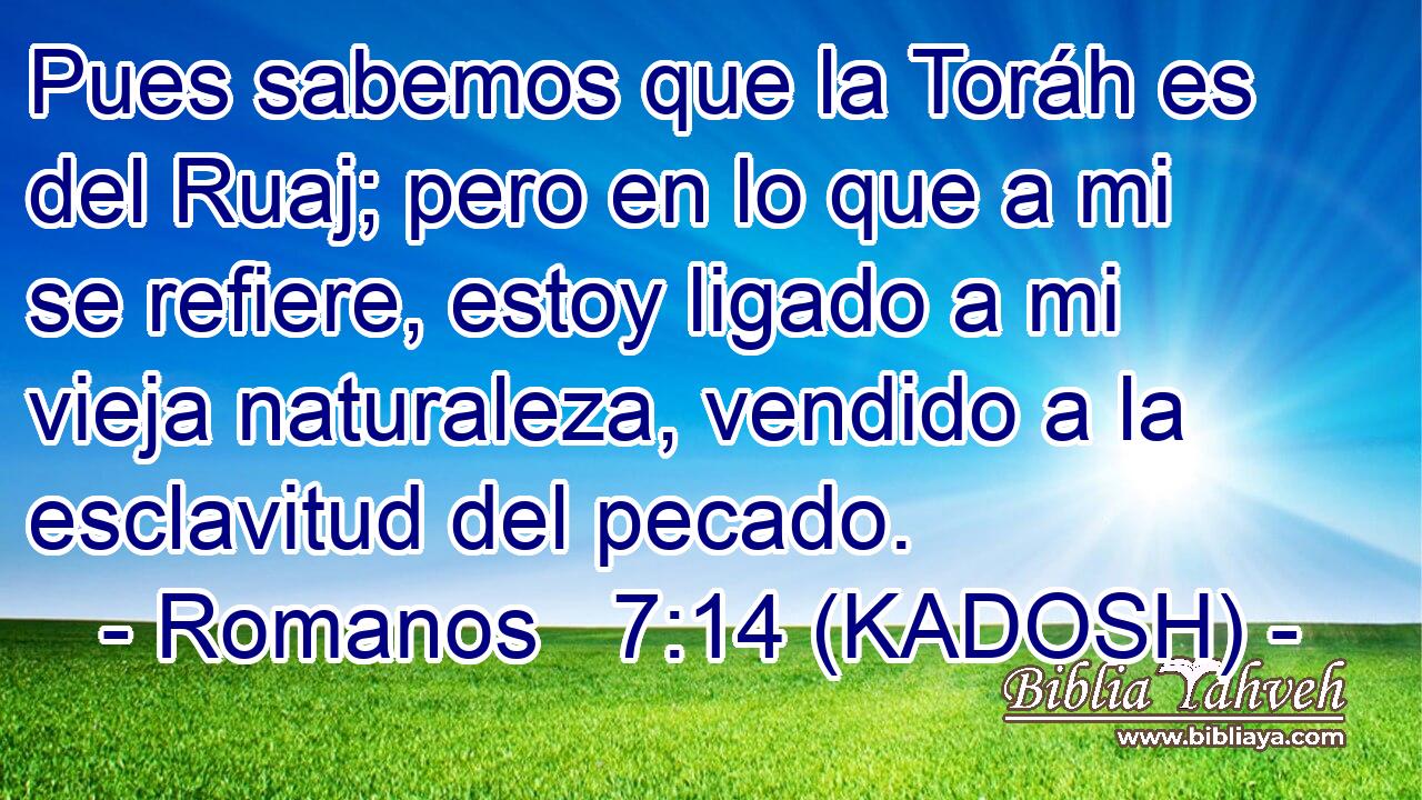  Pues sabemos que la Toráh es del Ruaj; pero en lo que a mi se refiere, estoy ligado a mi vieja naturaleza, vendido a la esclavitud del pecado. 