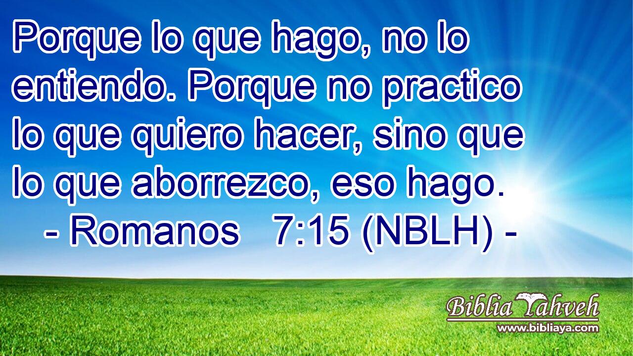  Porque lo que hago, no lo entiendo. Porque no practico lo que quiero hacer, sino que lo que aborrezco, eso hago. 