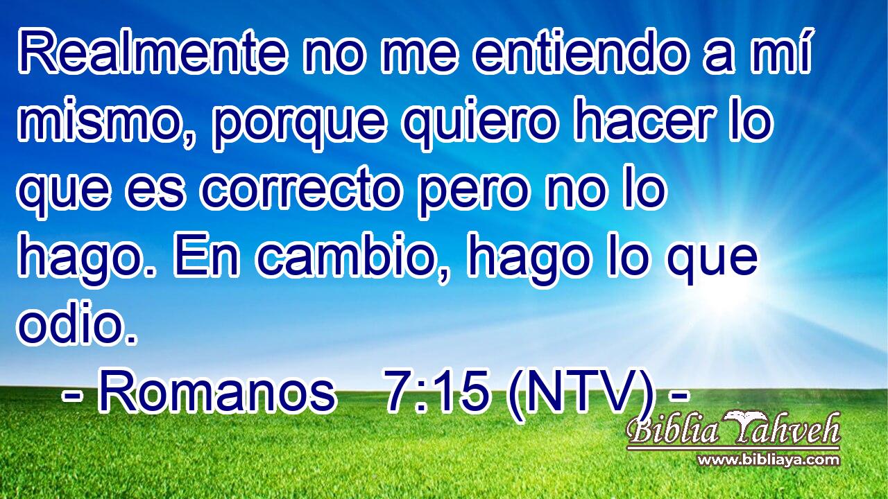 Realmente no me entiendo a mí mismo, porque quiero hacer lo que es correcto pero no lo hago. En cambio, hago lo que odio.