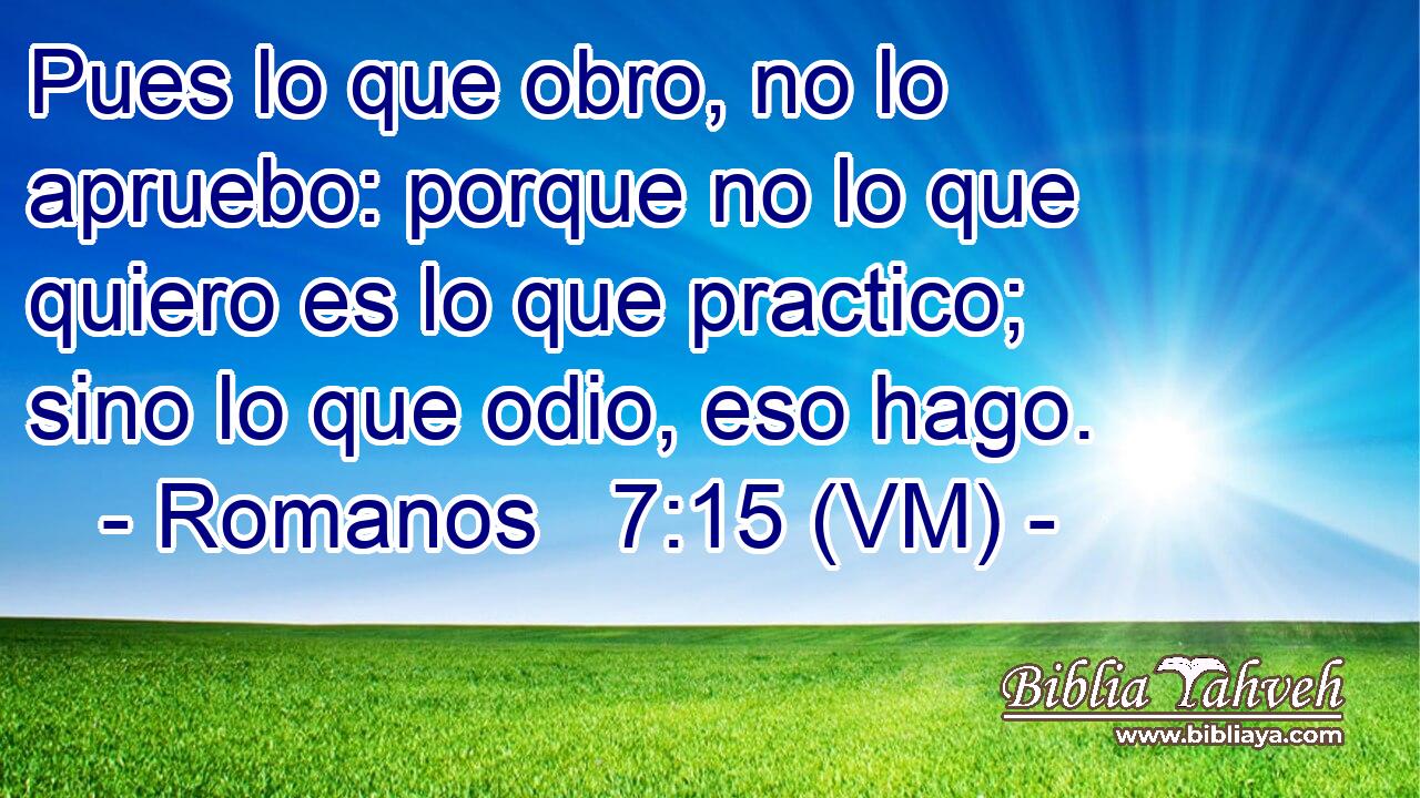  Pues lo que obro, no lo apruebo: porque no lo que quiero es lo que practico; sino lo que odio, eso hago. 