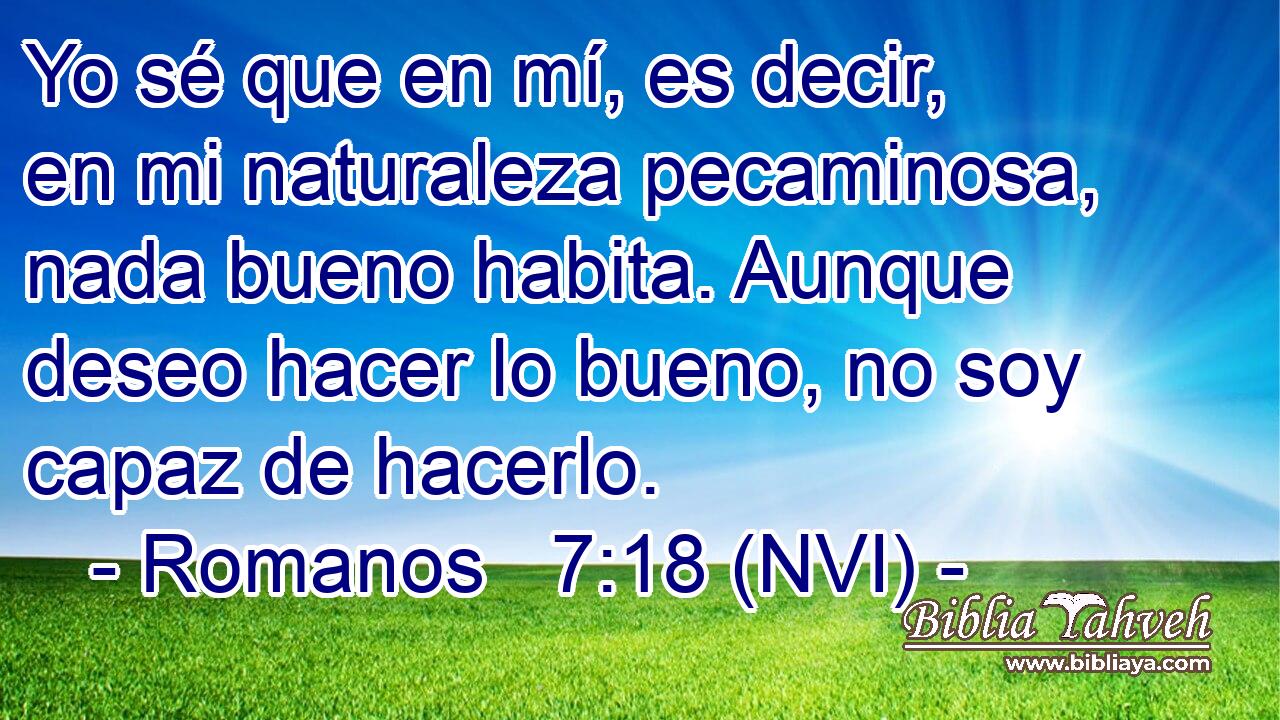  Yo sé que en mí, es decir, en mi naturaleza pecaminosa, nada bueno habita. Aunque deseo hacer lo bueno, no soy capaz de hacerlo. 