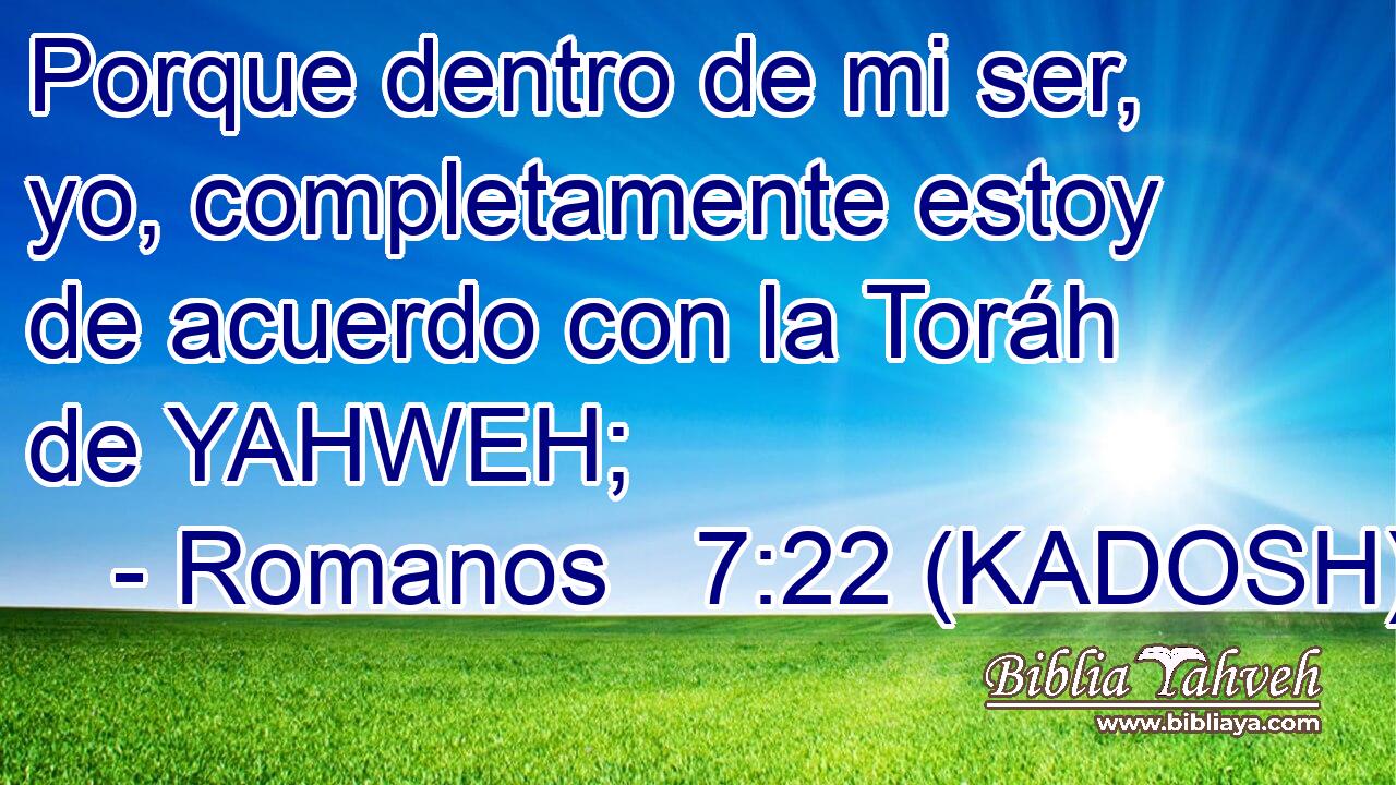  Porque dentro de mi ser, yo, completamente estoy de acuerdo con la Toráh de YAHWEH; 