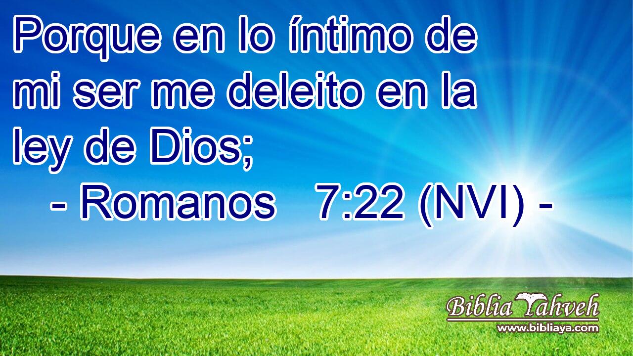  Porque en lo íntimo de mi ser me deleito en la ley de Dios; 