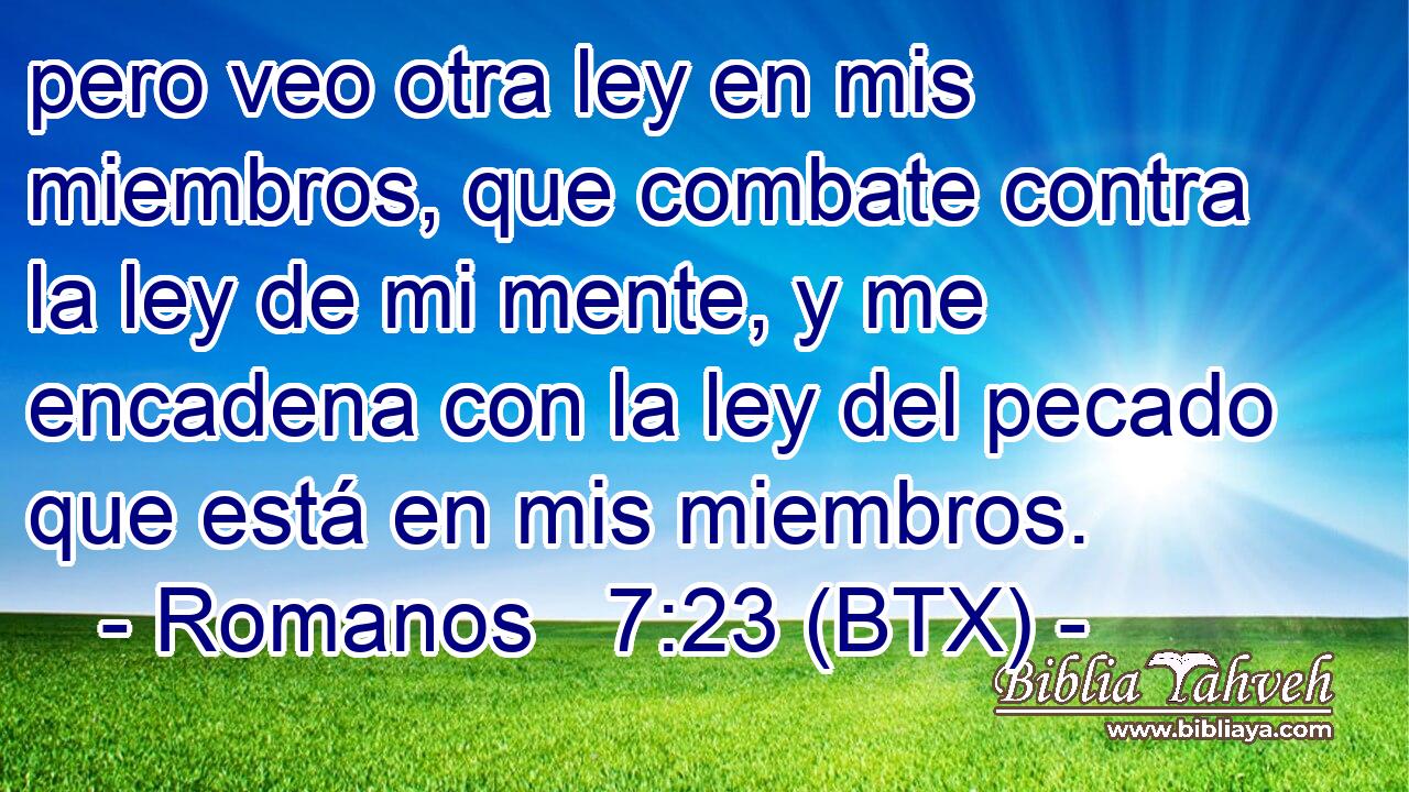 pero veo otra ley en mis miembros, que combate contra la ley de mi mente, y me encadena con la ley del pecado que está en mis miembros.