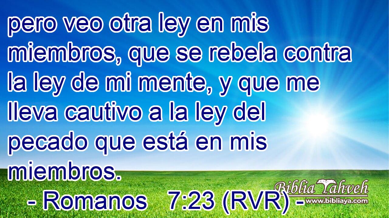 pero veo otra ley en mis miembros, que se rebela contra la ley de mi mente, y que me lleva cautivo a la ley del pecado que está en mis miembros.