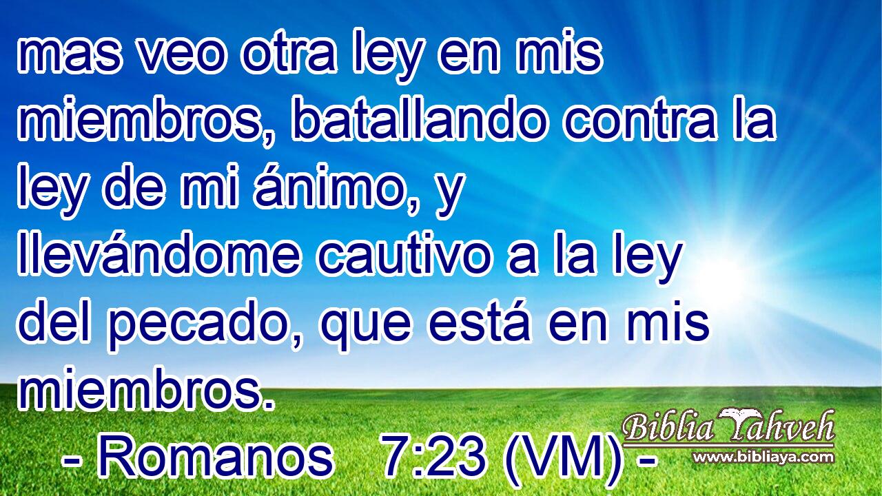  mas veo otra ley en mis miembros, batallando contra la ley de mi ánimo, y llevándome cautivo a la ley del pecado, que está en mis miembros. 