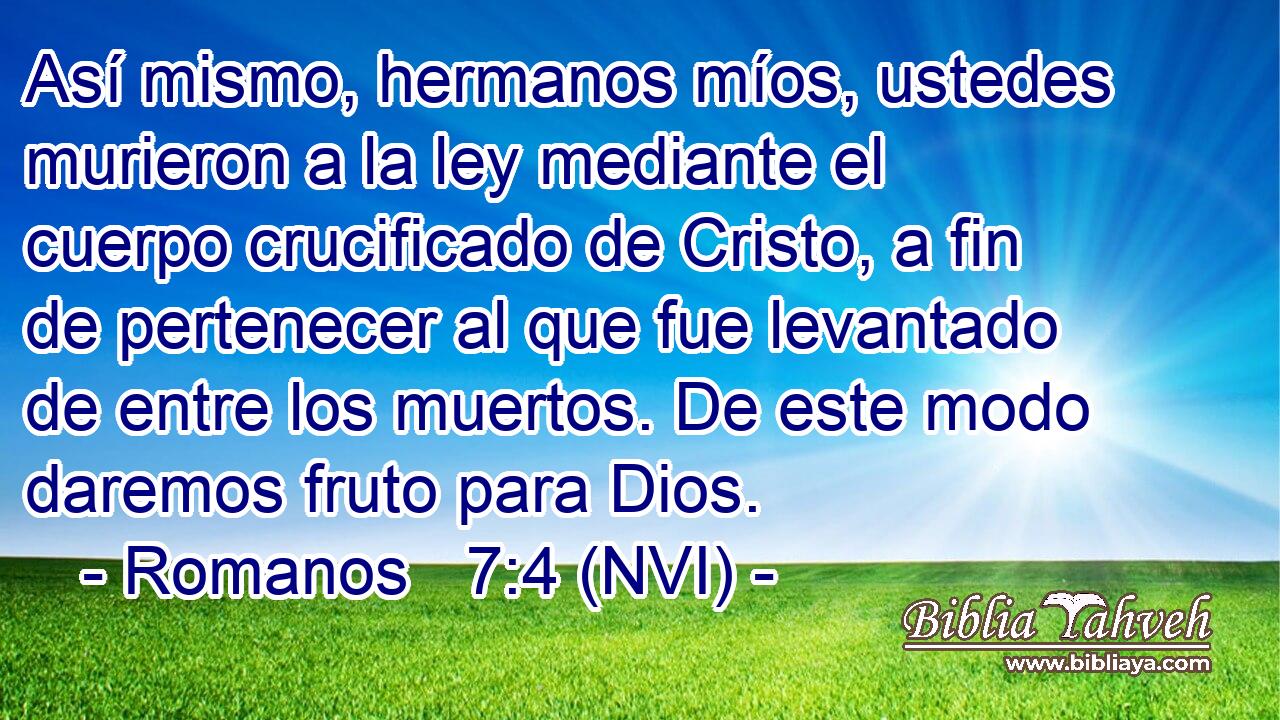  Así mismo, hermanos míos, ustedes murieron a la ley mediante el cuerpo crucificado de Cristo, a fin de pertenecer al que fue levantado de entre los muertos. De este modo daremos fruto para Dios. 
