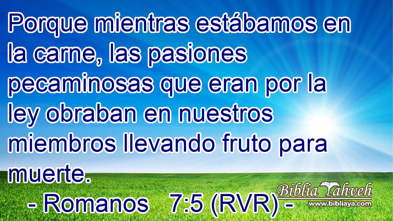 Porque mientras estábamos en la carne, las pasiones pecaminosas que eran por la ley obraban en nuestros miembros llevando fruto para muerte.