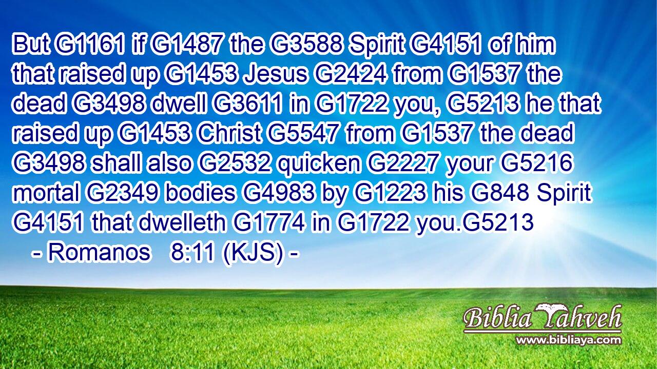 But G1161 if G1487 the G3588 Spirit G4151 of him that raised up G1453 Jesus G2424 from G1537 the dead G3498 dwell G3611 in G1722 you, G5213 he that raised up G1453 Christ G5547 from G1537 the dead G3498 shall also G2532 quicken G2227 your G5216 mortal G2349 bodies G4983 by G1223 his G848 Spirit G4151 that dwelleth G1774 in G1722 you.G5213