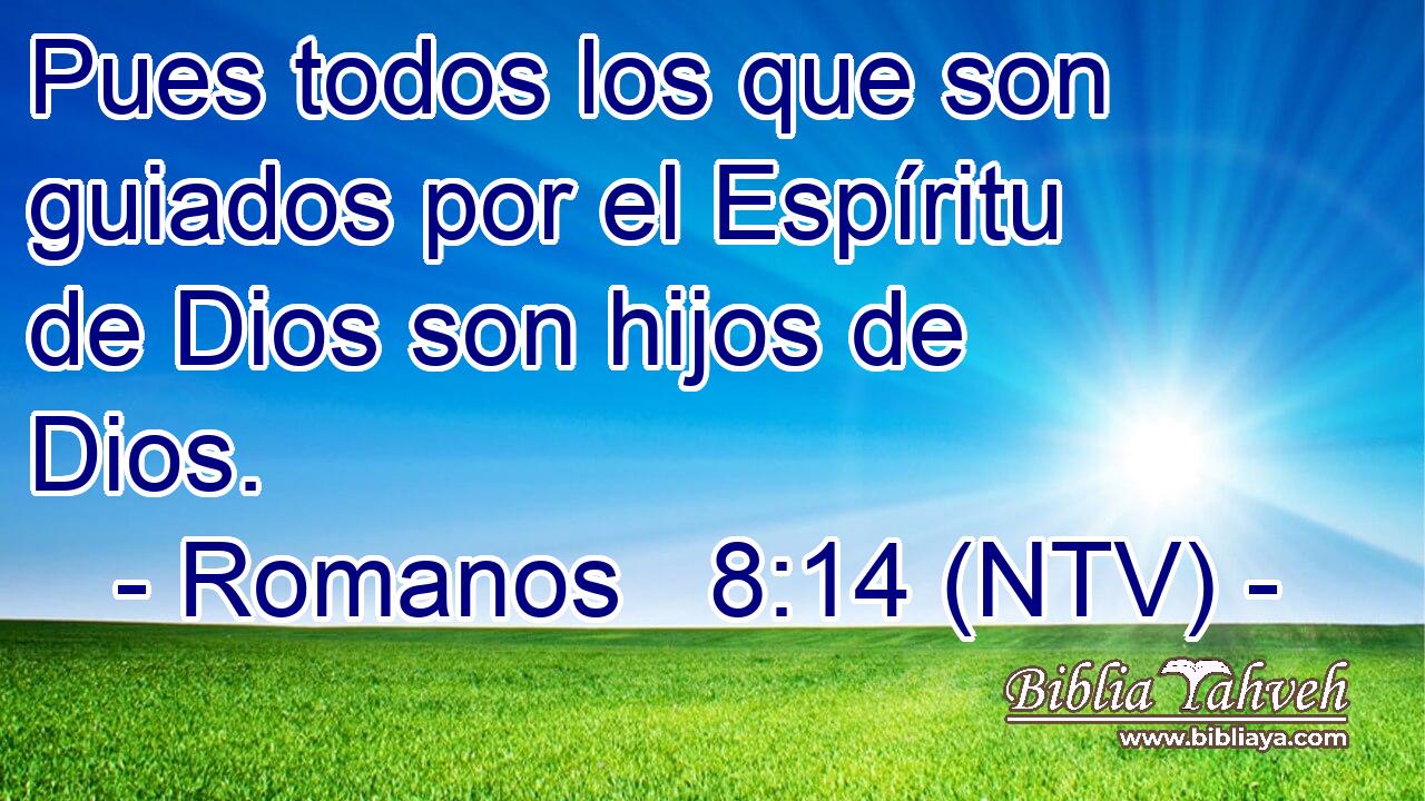 Pues todos los que son guiados por el Espíritu de Dios son hijos de Dios.