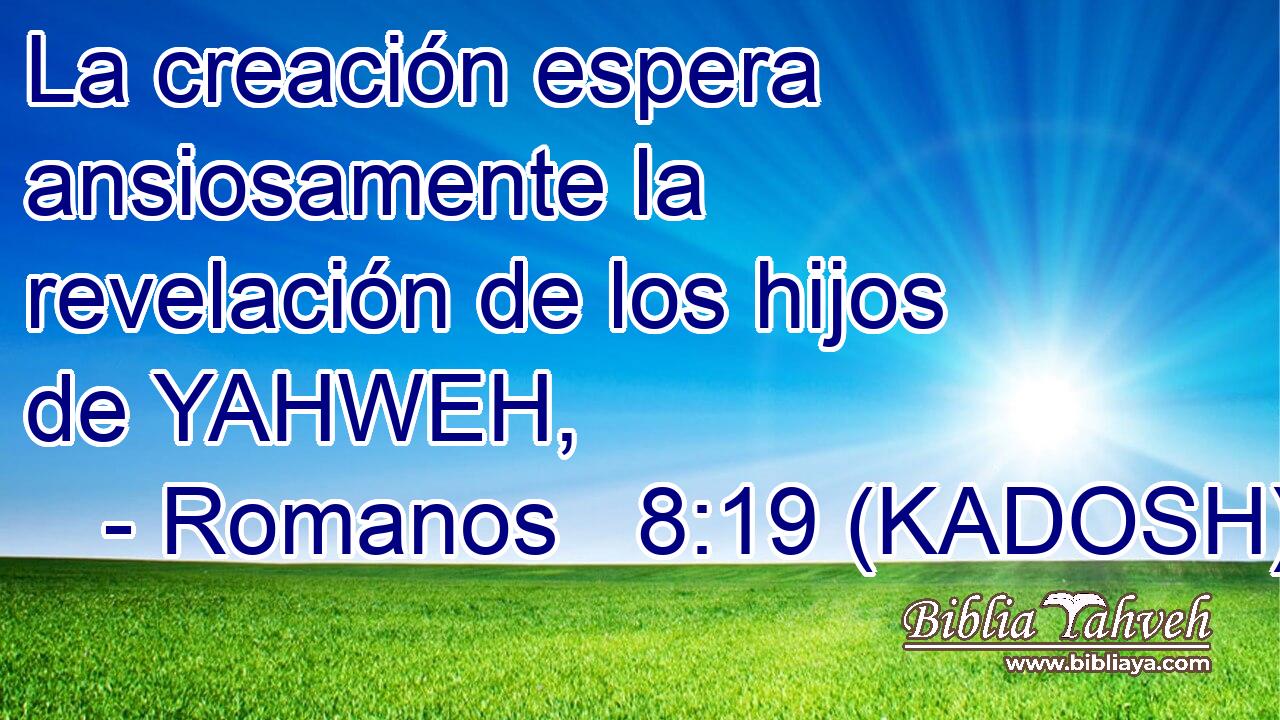  La creación espera ansiosamente la revelación de los hijos de YAHWEH, 