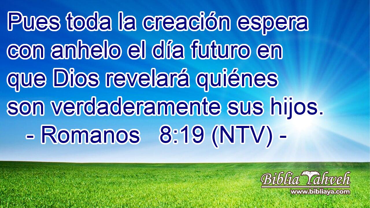 Pues toda la creación espera con anhelo el día futuro en que Dios revelará quiénes son verdaderamente sus hijos.